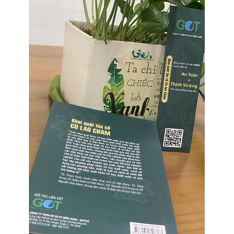 Khai Quật Tàu Cổ Cù Lao Chàm - Ảnh 5