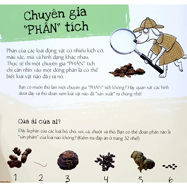 Phân Của Muôn Loài - Ảnh 5