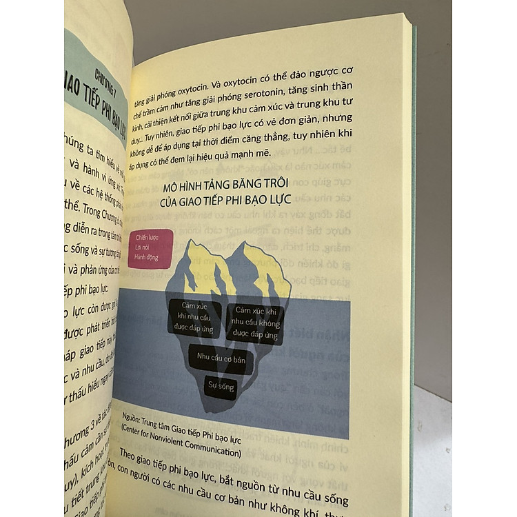 TRẦM CẢM VÀ KỸ NĂNG TỰ KIỂM SOÁT TRẦM CẢM - Ảnh 4