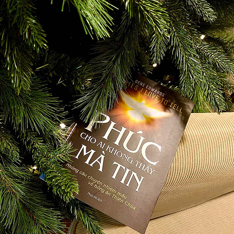 Phúc Cho Ai Không Thấy Mà Tin - Những Câu Chuyện Nhiệm Mầu Về Hồng Ân Thiên Chúa - Ảnh 4