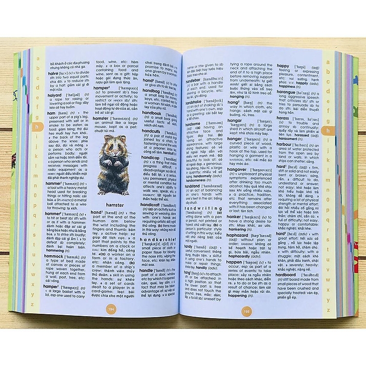 Từ Điển Anh Việt, Minh Họa Từ Vựng Bằng Hình Ảnh - Ảnh 4