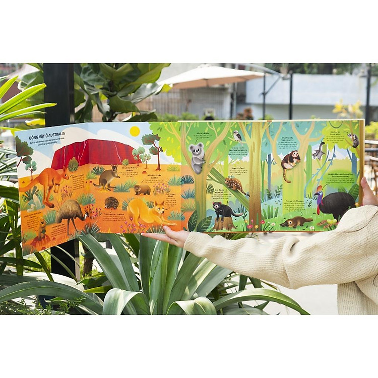 Cuốn sách khổng lồ về động vật hoang dã - Big book of wild animals - Ảnh 6