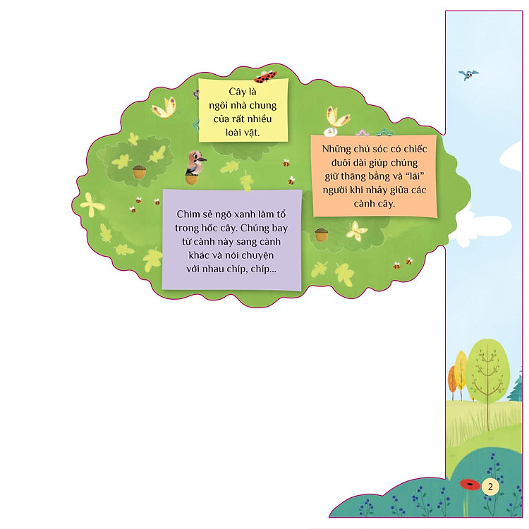 Tò Mò Muốn Biết… Trên Cây Cao - Ảnh 2