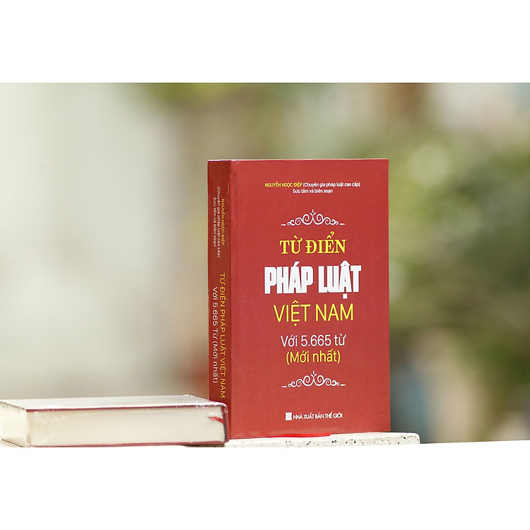 Từ điển pháp luật Việt Nam - Ảnh 4
