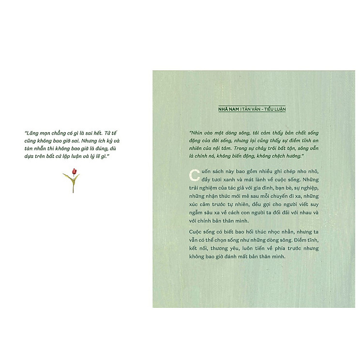 Sống như một dòng sông (Nguyễn Thị Ngọc Minh) - Ảnh 3