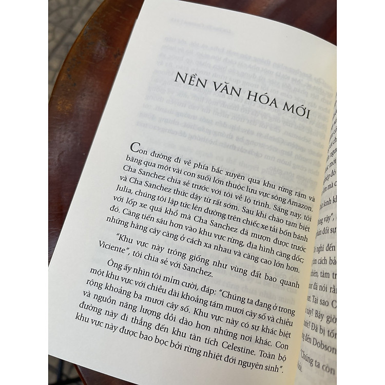 LỜI TIÊN TRI CELESTINE – HÀNH TRÌNH THỨC TỈNH TÂM LINH NHÂN LOẠI - Ảnh 5