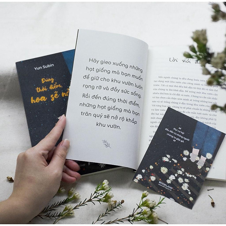 Đúng Thời Điểm Hoa Sẽ Nở - Ảnh 6