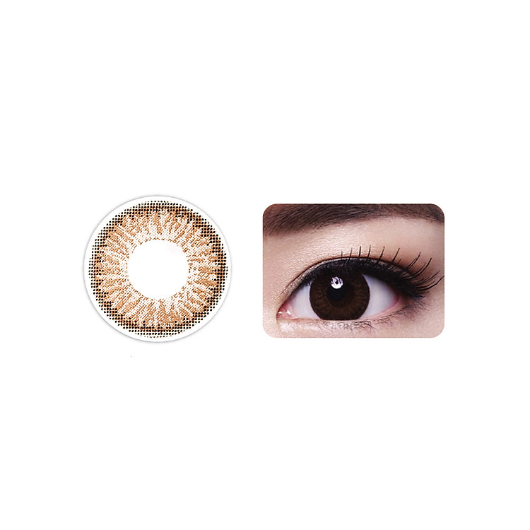Kính áp tròng Winsome Brown 6 độ MKX