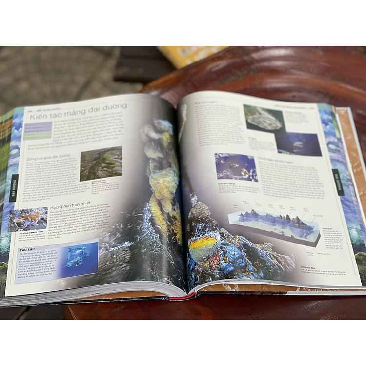 THUYẾT MINH TRỰC QUAN NHẤT VỀ TRÁI ĐẤT - Tủ sách DK - Ảnh 3