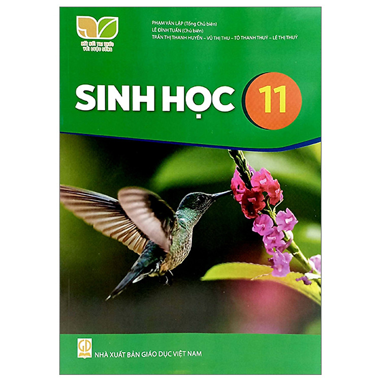 Sách giáo khoa Sinh Học 11 – Kết Nối Tri Thức Với Cuộc Sống