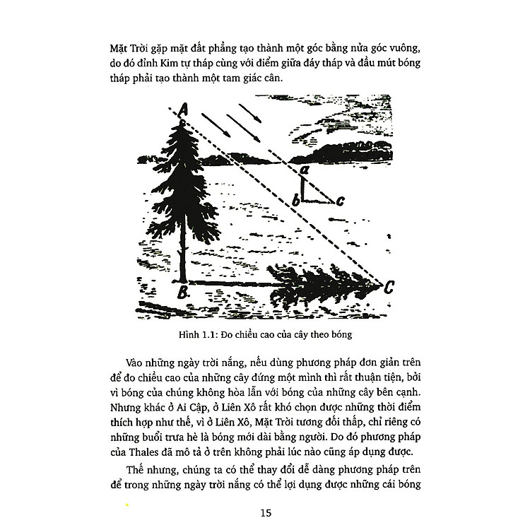 Hình Học Vui (Tái Bản - In Màu) - Ảnh 3