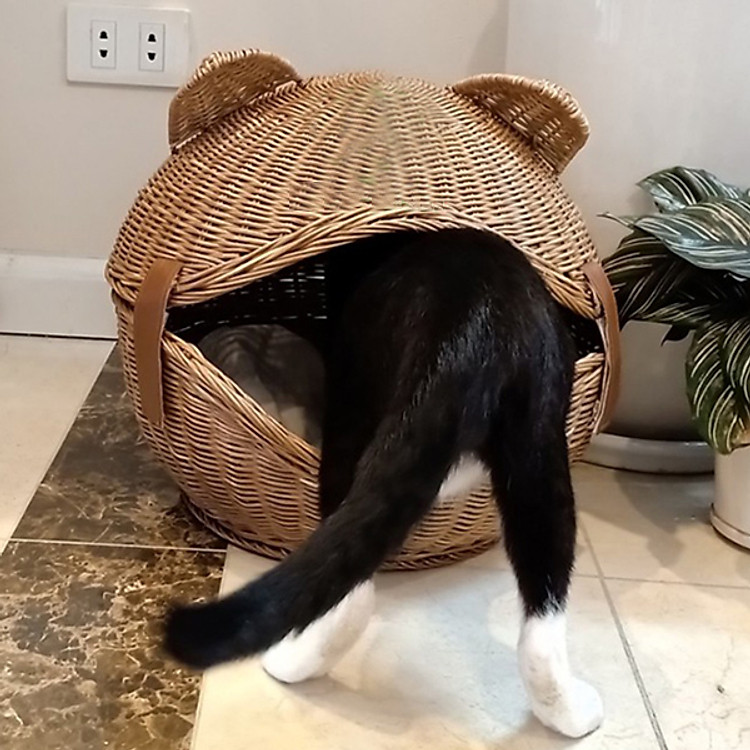 Lồng chó mèo handmade thân thiện môi trường