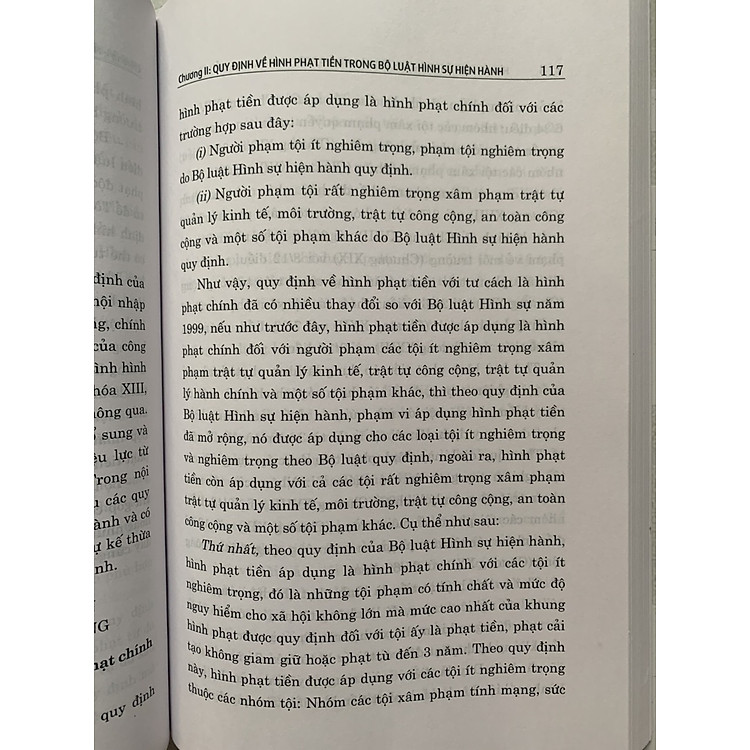 Hình Phạt Tiền Trong Pháp Luật Hình Sự Việt Nam Và Thực Tiễn Áp Dụng - Ảnh 7