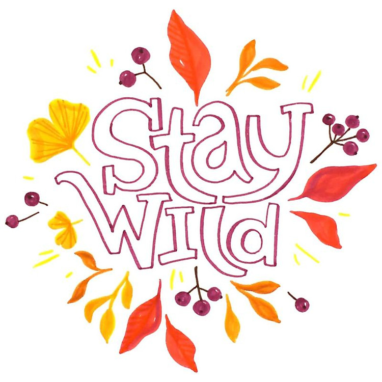 Bộ Bút Lông Màu Nước 2 Đầu Pentel Art SESW30C (6 chiếc) - Ảnh 2