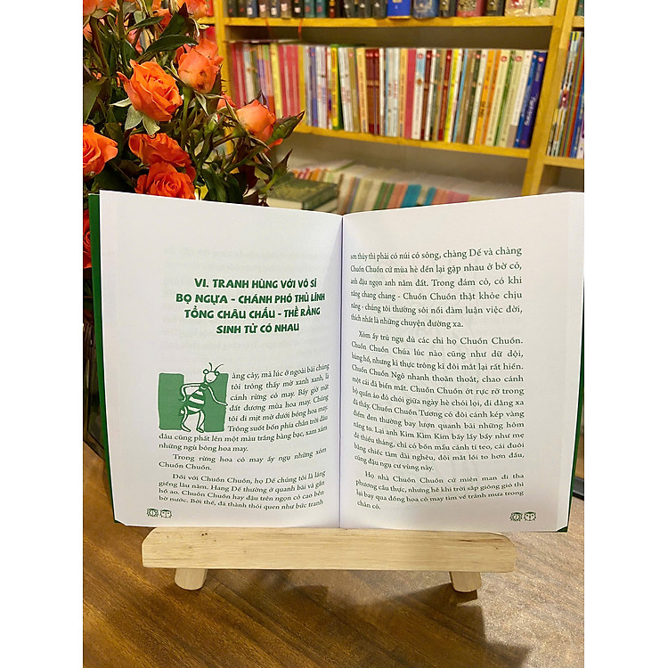 Dế Mèn Phiêu Lưu Ký - Ảnh 2