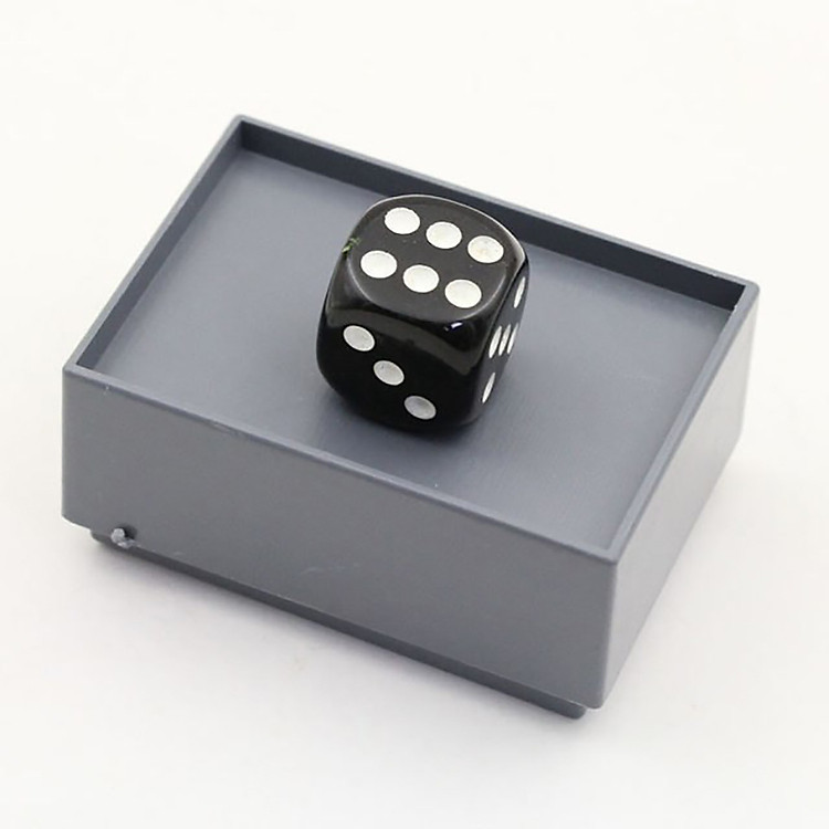 Đồ chơi ảo thuật: Miracle Dice