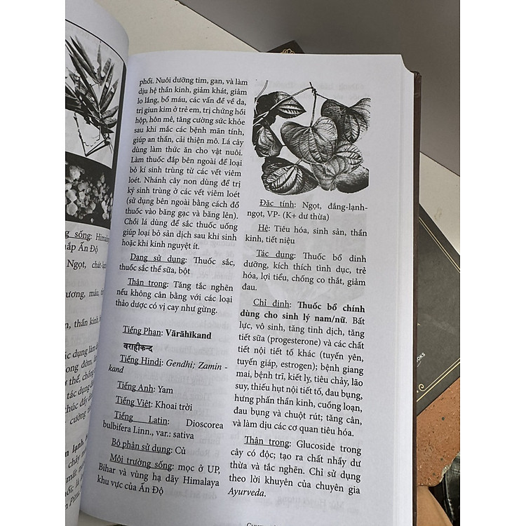 BÁCH KHOA TOÀN THƯ AYURVEDA - Y HỌC CỔ TRUYỀN ẤN (Tập 1+2) - Ảnh 4