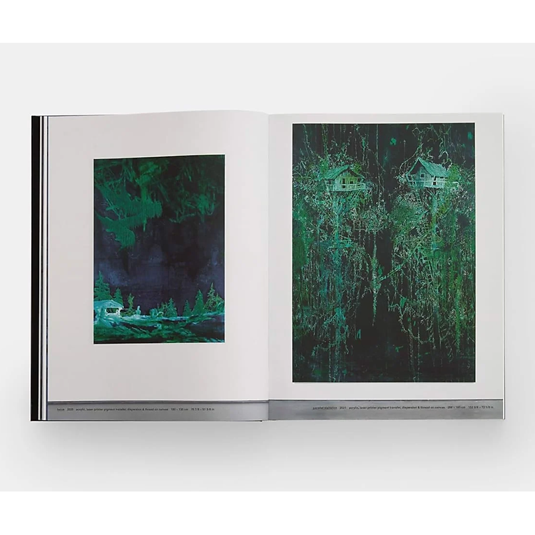 Artbook - Sách Tiếng Anh - Michael Raedecker - Ảnh 3