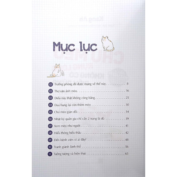 Chú Mèo Rụng Lông Không Có Điểm Dừng - Ảnh 6