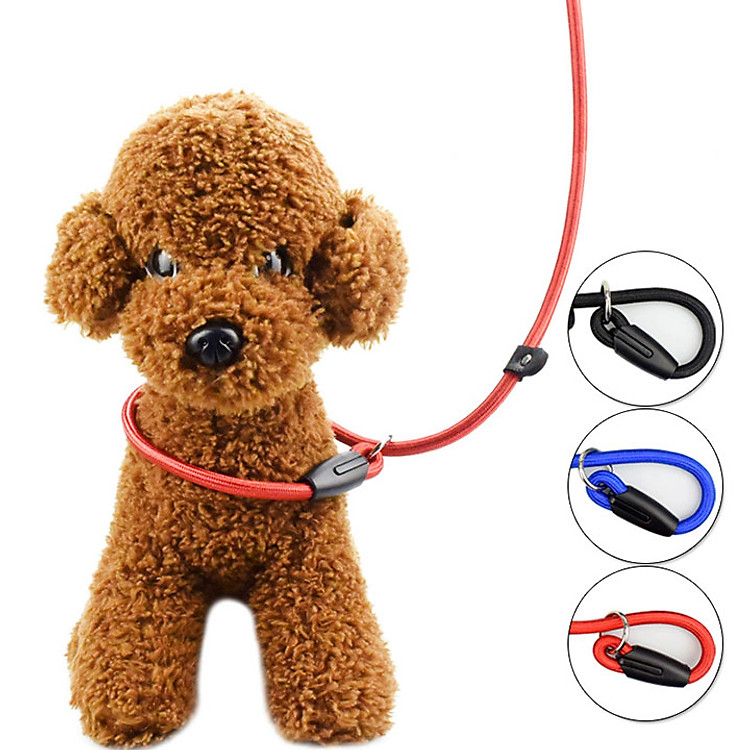 Dây dắt kỷ luật free size dành cho chó nhỏ và vừa (Màu Ngẫu Nhiên)