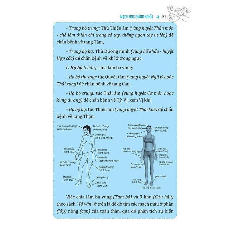 Mạch Học Giảng Nghĩa - Ảnh 5