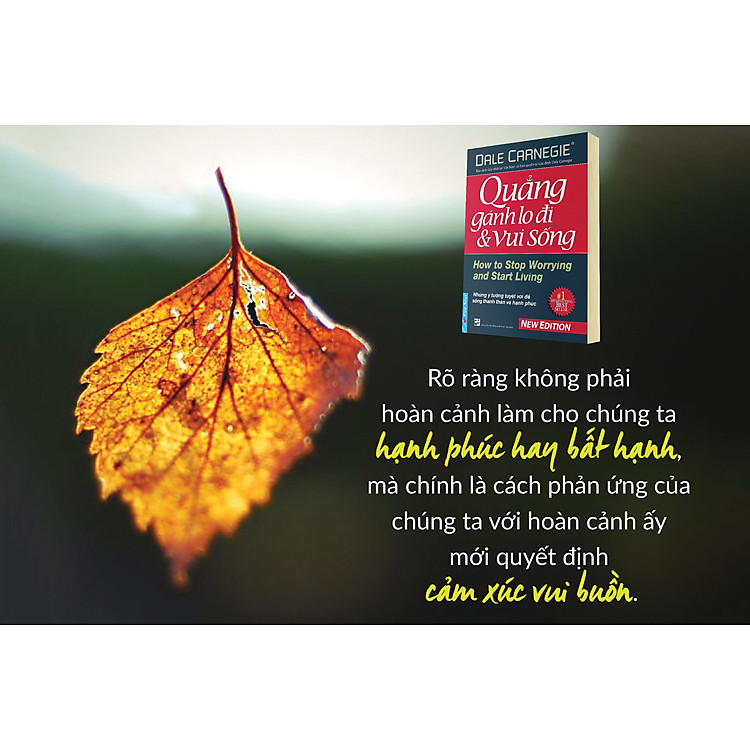 Quẳng Gánh Lo Đi Và Vui Sống - Ảnh 6