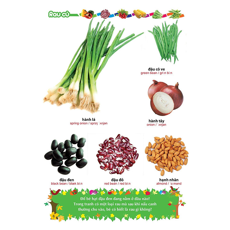 Từ Điển Tranh Về Rau - Củ - Quả - Hoa - Ảnh 6