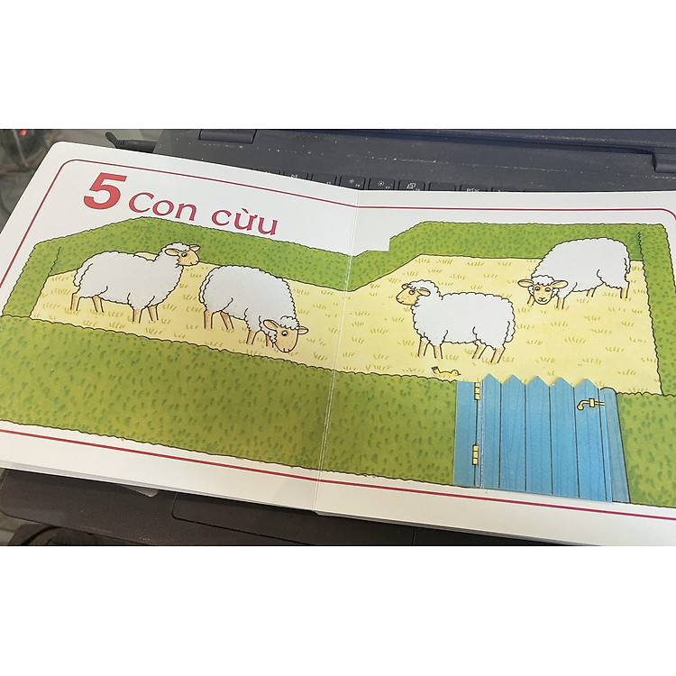 Newshop: Trang Trại 123