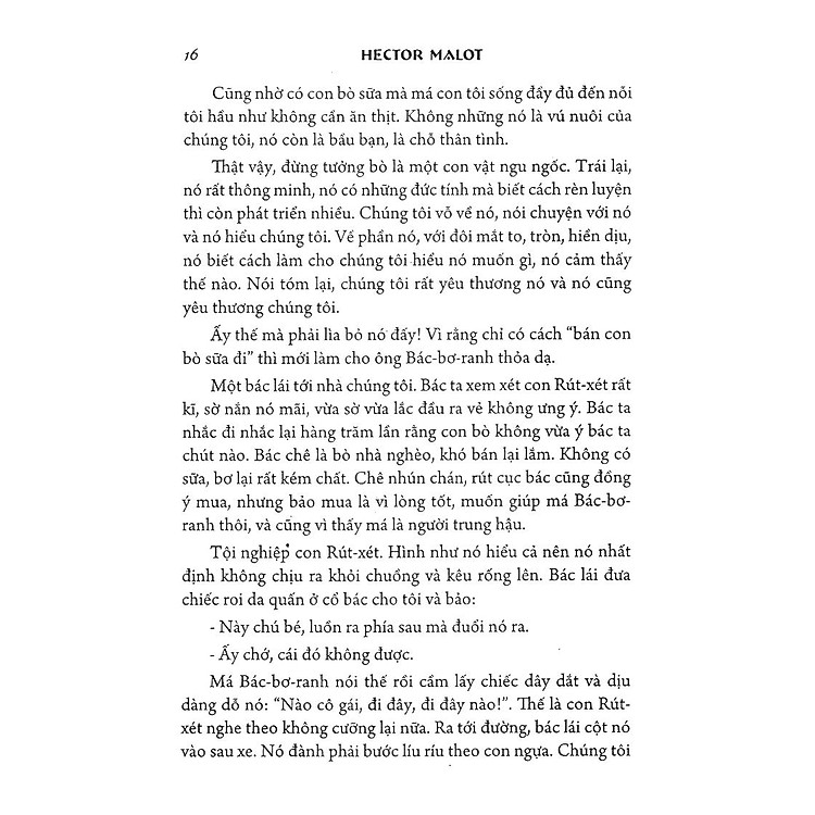 Không Gia Đình - Ảnh 5