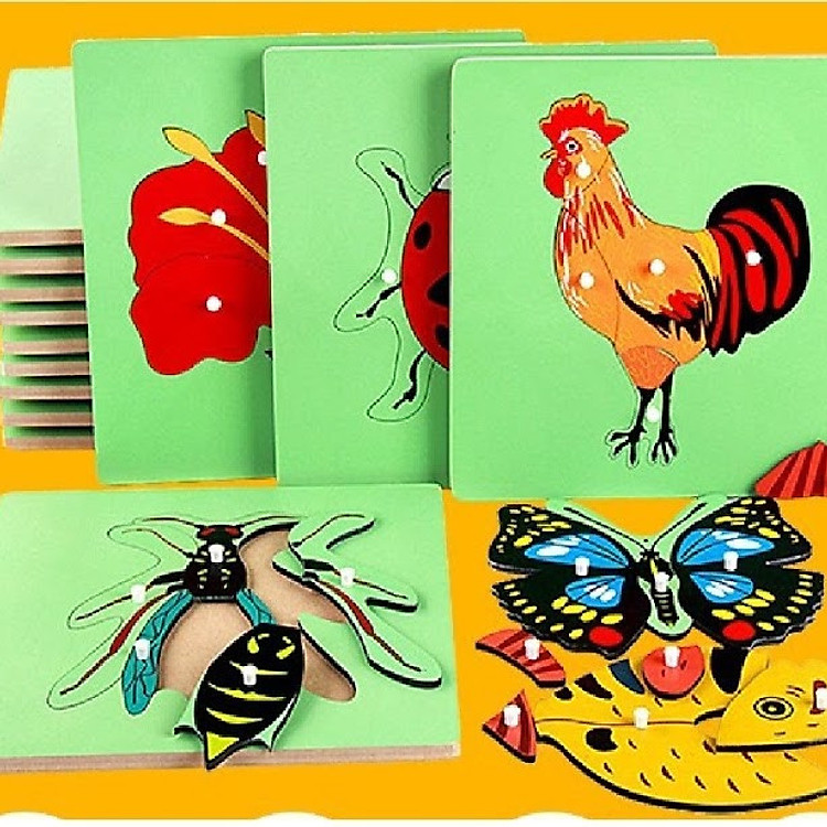 Bộ 5 tranh ghép giáo cụ Montessori