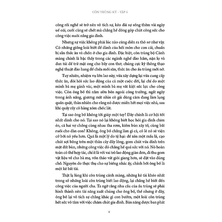 Côn trùng ký tập 6 - Ấn bản đầy đủ - Ảnh 5