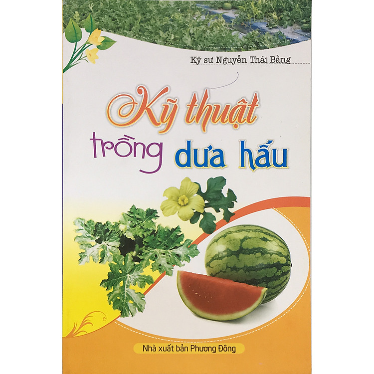 Kỹ thuật trồng dưa hấu (ND)