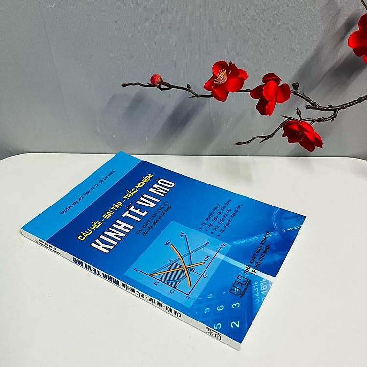 Câu Hỏi - Bài Tập - Trắc Nghiệm Kinh Tế Vi Mô (Trường ĐH Kinh Tế TP. Hồ Chí Minh) - Ảnh 2