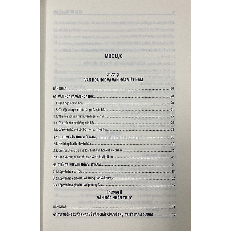 Cơ sở văn hóa Việt Nam (Bản mới) - Ảnh 4