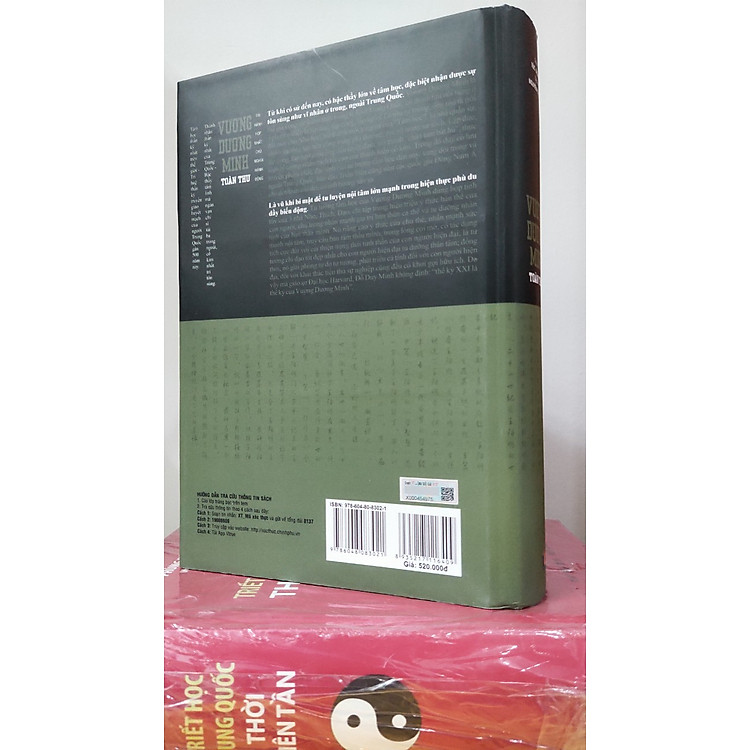 VƯƠNG DƯƠNG MINH TOÀN THƯ - Ảnh 3