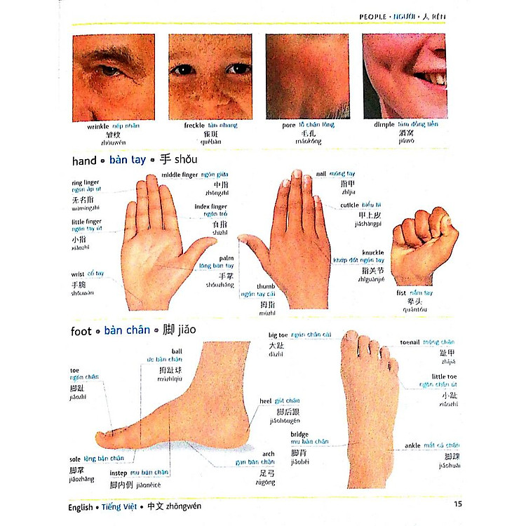 Visual English Vietnamese Chinese Trillingual Dictionary - Ảnh 4