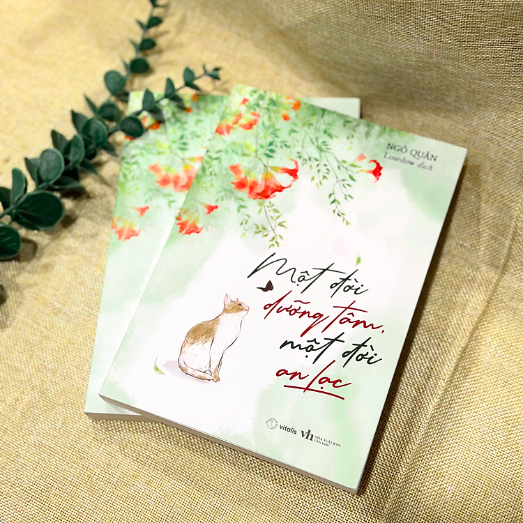 Một Đời Dưỡng Tâm, Một Đời An Lạc - Ảnh 4