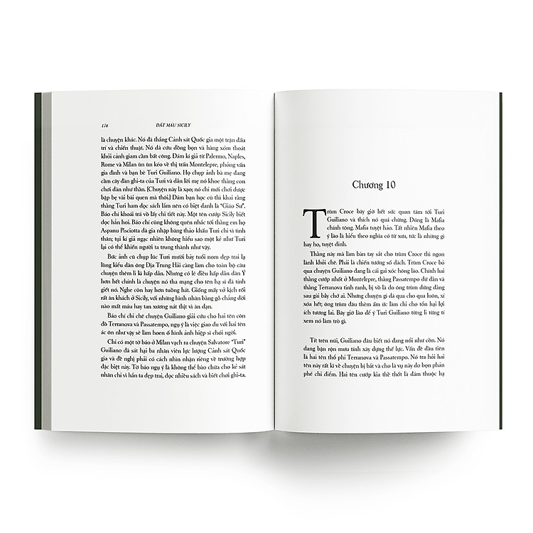 Đất máu Sicily (TB 2023) - Ảnh 5