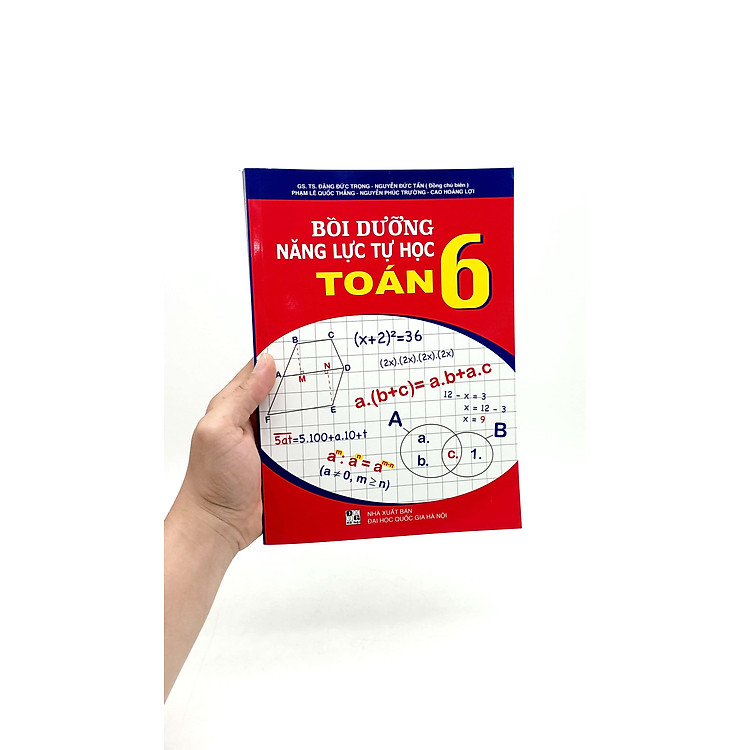 Bồi Dưỡng Năng Lực Tự Học Toán 6 - Ảnh 6