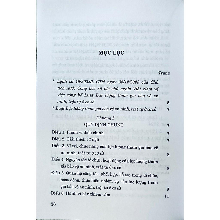 Luật Lực Lượng Tham Gia Bảo Vệ An Ninh Trật Tự Ở Cơ Sở - Ảnh 3