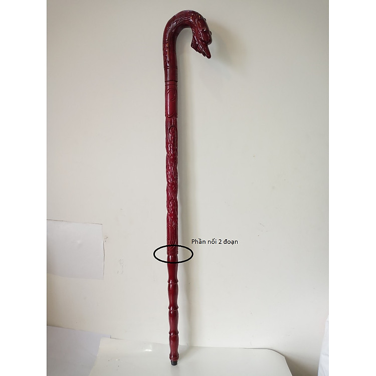 Gậy Chống Trượt Cho Người Già Uy tín Giá rẻ - Hình ảnh 4