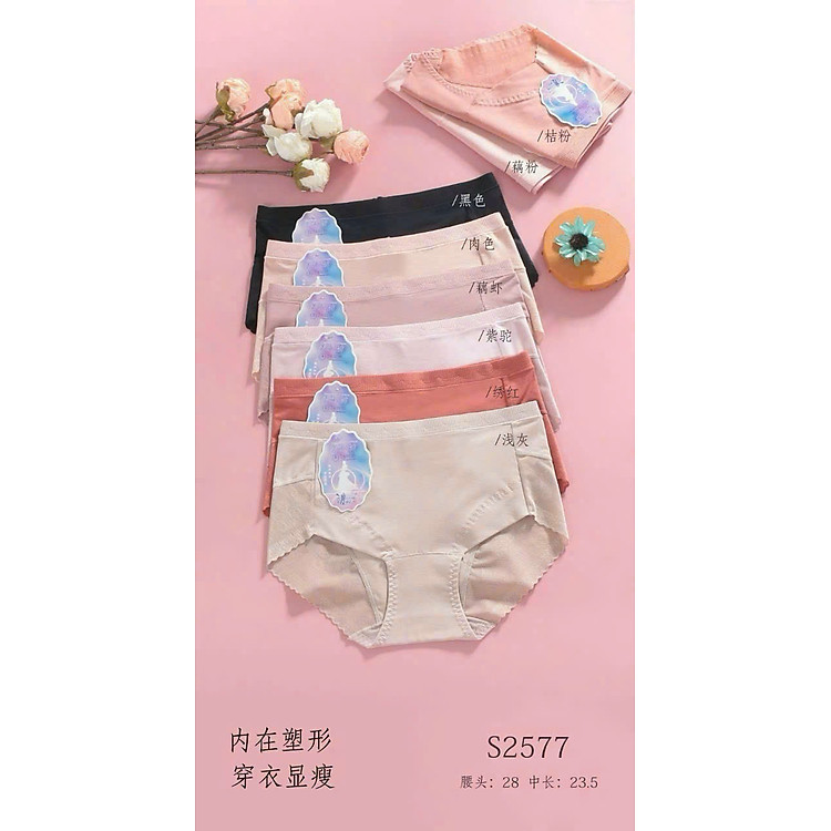 Combo 5 quần chip cotton cao cấp