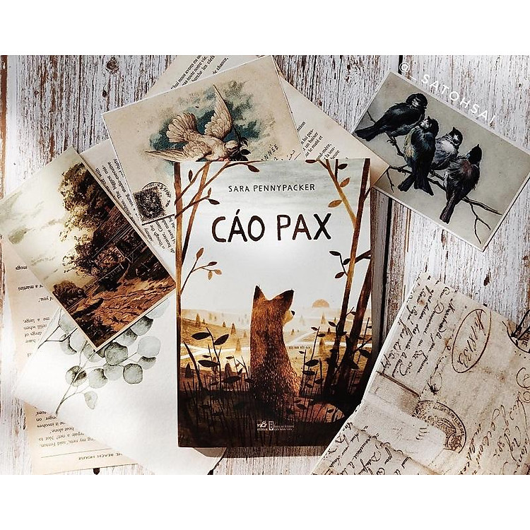 Cáo Pax - Ảnh 3