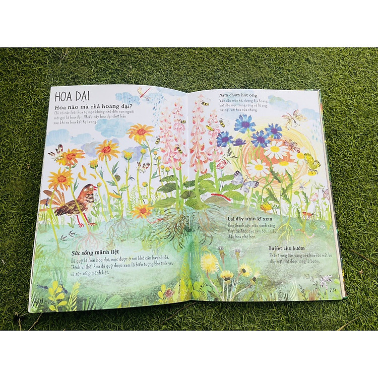 Bộ A Lê Hấp! - Ảnh 5