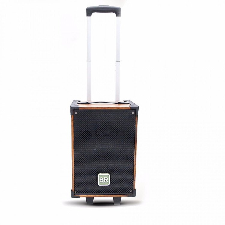 Loa kéo BRADWELL A842 mẫu mới - Hàng chính hãng chất lượng