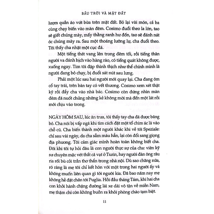 Bầu trời và mặt đất - Ảnh 3