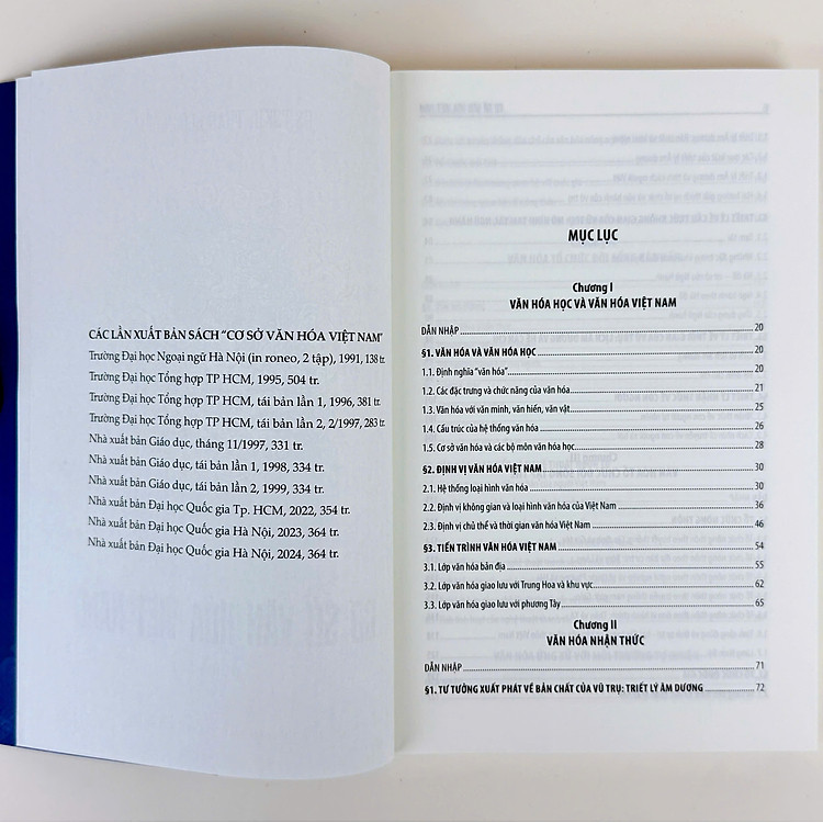 Cơ sở văn hóa Việt Nam - Ảnh 3