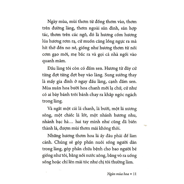 Ngàn Mùa Hoa - Nét Đẹp Quê Hương (PNU) - Ảnh 3