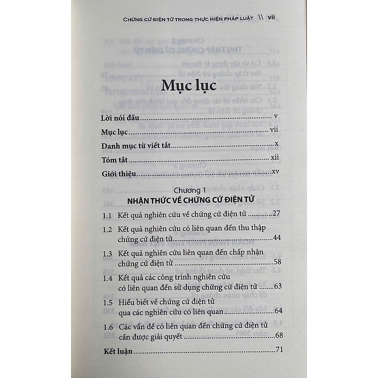 Chứng Cứ Điện Tử Trong Thực Hiện Pháp Luật - Ảnh 2
