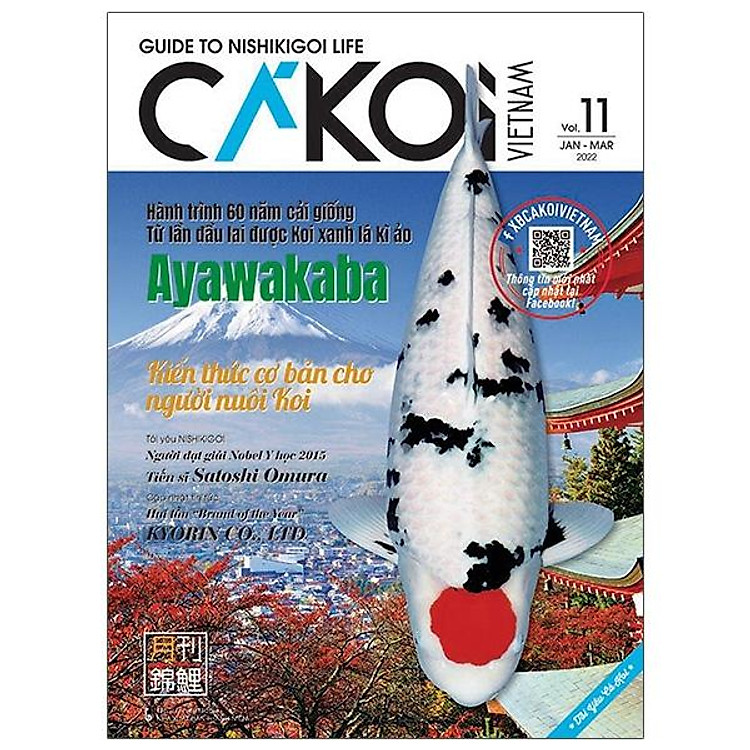 Cá Koi – Tập 11